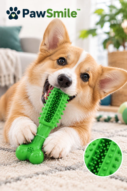 PawSmile™ Textured Chew Toy for Dogs