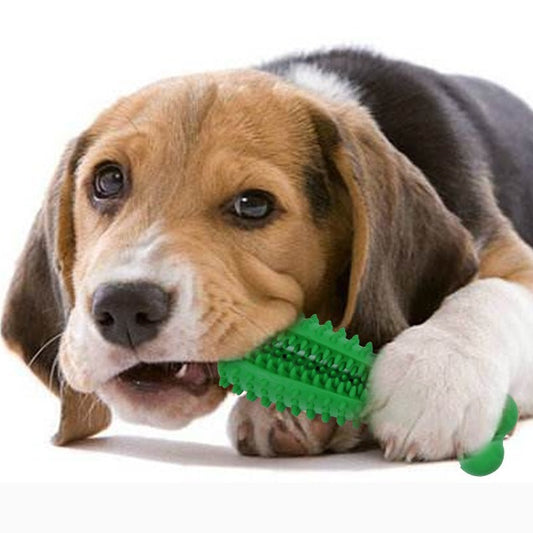 PawSmile™ Textured Chew Toy for Dogs